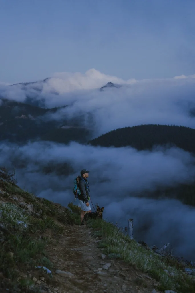 Brent-Hashiba - Foggy Trail