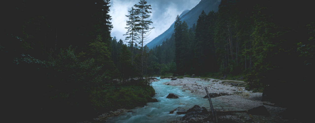 GUEST BLOG: How To Cope With Dark Winter Days
