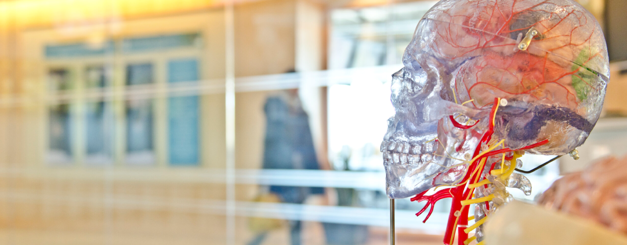 Pain and the Brain