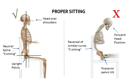 Proper Sitting