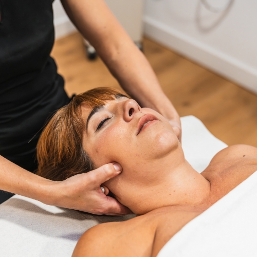 TMJ-Salmon-Bay-Physical-Therapy-North-Gate-Ballard-Bridge-North-Ballard-Seattle-WA