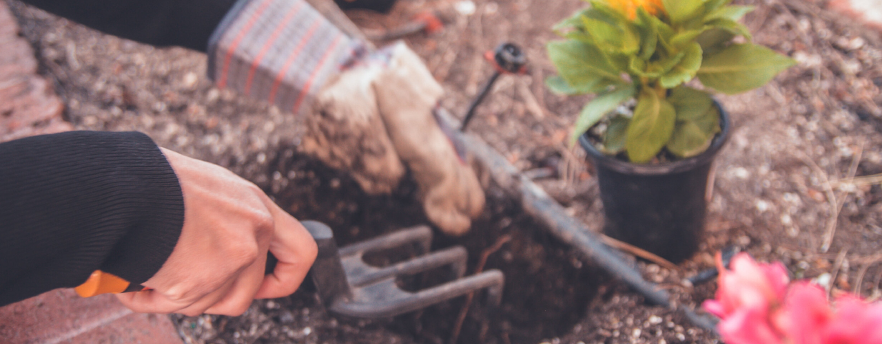 Tips For A Pain-Free Return To Gardening And Yard Work