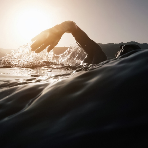 swimming-Salmon-Bay-Physical-Therapy-North-Gate-Ballard-Bridge-North-Ballard-Seattle-WA